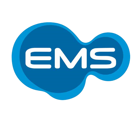 Ems-sem-fundo-logo